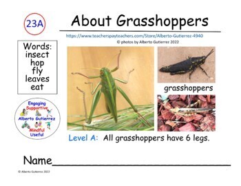 Preview of About Grasshoppers #23A: Computer Reading