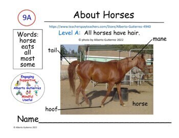 Preview of About Horses for Computer Reading: #9A