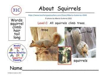 Preview of About Squirrels #31C: Computer Reading Nonfiction