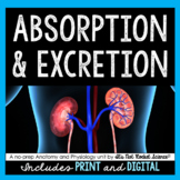 Absorption and Excretion Unit