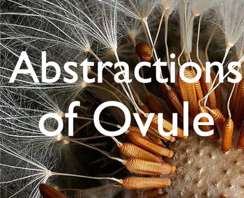 Preview of Abstractions of Ovule - Sculpture/Science Cross - Curricular Project