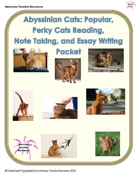 Preview of Abyssinian Cats: Popular, Pesky Reading, Note-Taking, and Summarizing Worksheet