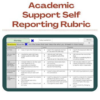 Preview of Academic Support Self Reporting Rubric