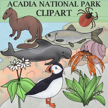 Preview of Acadia National Park - Plants and Animals of the National Parks