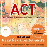 Acceptance and Commitment Therapy - The Big Six Hexaflex B