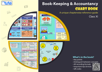 Preview of Checking Accounts Chart Book - Basics of Book Keeping and Accountancy