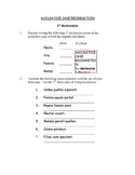 Accusative Case Recognition Worksheet Bundle