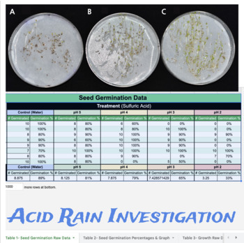 Preview of Acid Rain Lab Investigation (A Seed Germination Study)