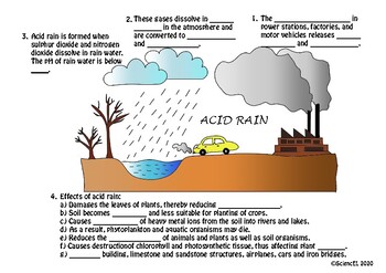 Preview of Acid Rain | Worksheet | Poster