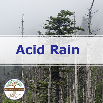 Preview of Acid Rain and the Environment  | Video Lesson, Handout, Worksheets | Earth
