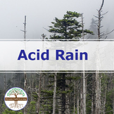 Acid Rain and the Environment  | Video Lesson, Handout, Wo