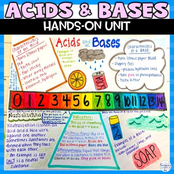Preview of Acids and Bases Unit