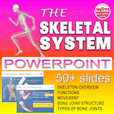 The Skeleton Powerpoint