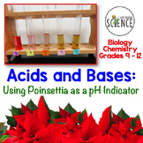 Christmas Science Lab Poinsettia pH Indicator