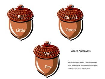 Preview of Acorn Antonyms