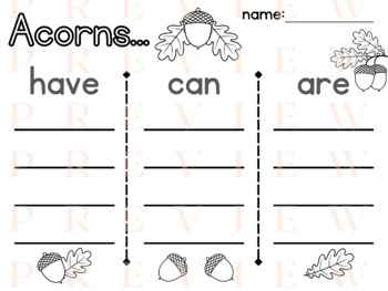 Preview of Acorn HAVE CAN ARE | Organizer | Writing | Phonics | Verbs | Adjectives | Noun