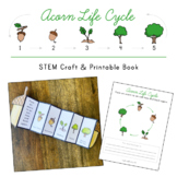 Acorn Life Cycle - Oak Tree STEM Craft and Printable Book