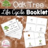 Acorn to Oak Tree Life Cycle Booklet Spring/Fall Activity 