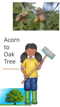 Preview of Plant lab Acorn to Oak tree Lab Middle school science
