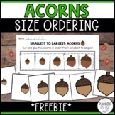 FREE Acorns Size Ordering for Fall | Order by Size | Cut and Glue