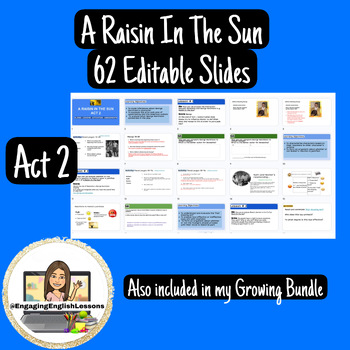 Preview of Act 2 Lesson Plans - A Raisin In The Sun