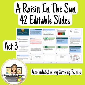 Preview of Act 3 Lesson Plans A Raisin In The Sun