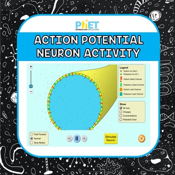 Preview of Action Potential Neuron Activity