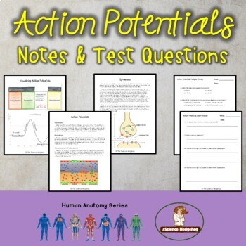 Preview of Action Potentials Notes and Test Questions