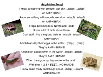 Preview of Science Songs - The Amphibian Song!