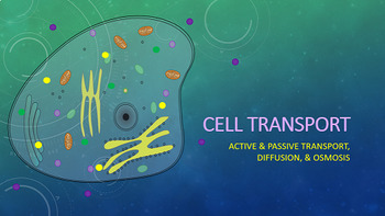 Preview of Active & Passive Transport, Diffusion & Osmosis Animated PowerPoint