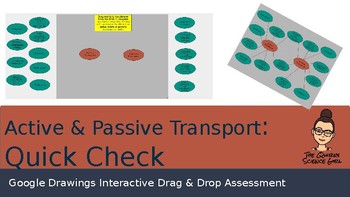 Preview of Biology Quick Check [Active and Passive Transport]