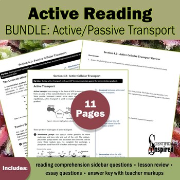 Preview of Active Reading BUNDLE: Cellular Transport - Textbook Series (Ch4) w/ PDF Form
