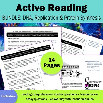 Preview of Active Reading BUNDLE: DNA and Processes - Textbook Series (Ch7) w/ PDF Form