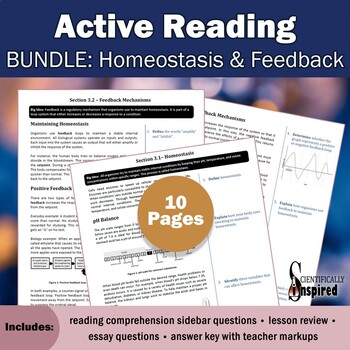 Preview of Active Reading BUNDLE: Homeostasis - Textbook Series (Ch3) w/ PDF Form