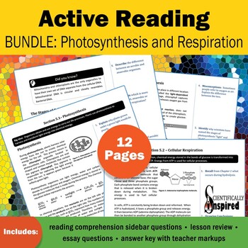 Preview of Active Reading BUNDLE: Bioenergetics - Textbook Series (Ch5) w/ PDF Form