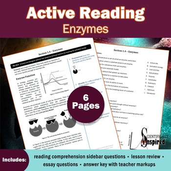 Preview of Enzymes Active Reading Comprehension | Biology | (Ch1)