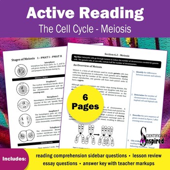 Preview of Active Reading: Meiosis - Textbook Series (Ch6) w/ PDF Form