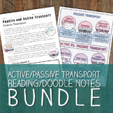 Active and Passive Transport Bundle