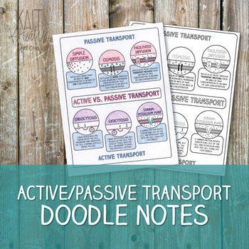 Preview of Active and Passive Transport Doodle Notes