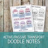 Active and Passive Transport Doodle Notes