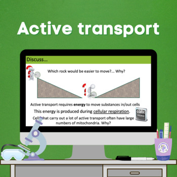 Preview of Active transport (GCSE)