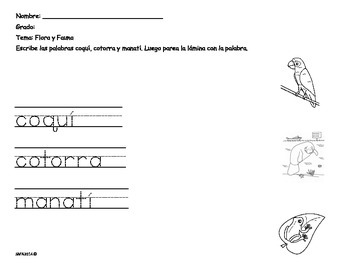 Simbolos Patrios Worksheets Teaching Resources Tpt