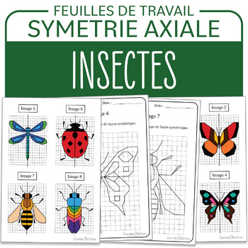 Preview of Activité Printemps Eté Symétrie Insectes Papillons French Insects Symmetry