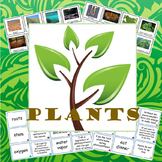 Activities for studying plants