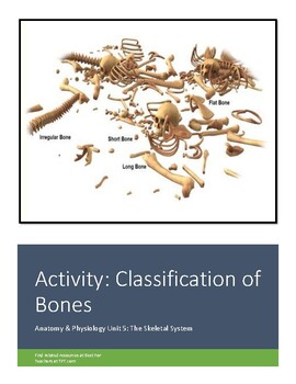 Preview of Activity: Classification of Bones (Virtual Learning Friendly)