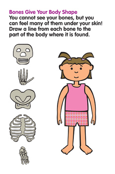 Preview of Activity Worksheets - Bones