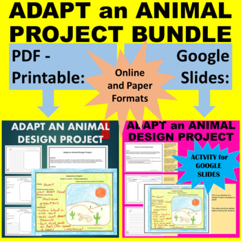 Animal Adaptations Modified Assignment (Project-based Learning