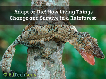 Preview of Adapt or Die! Changing & Surviving in a Rainforest - Interactive Unit eBook