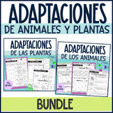 Adaptaciones de animales y plantas Bundle Animal & Plant A
