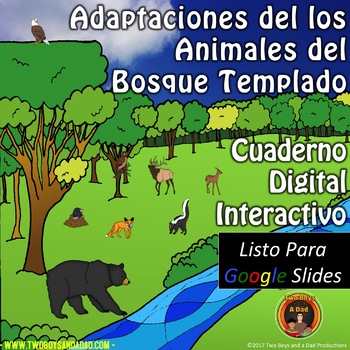 Adaptaciones de los Animales del Bosque Templado Para Google Slides®